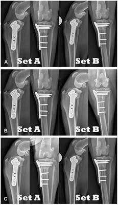 Comparison of radiographic scoring systems for assessment of bone healing after tibial plateau leveling osteotomy in dogs
